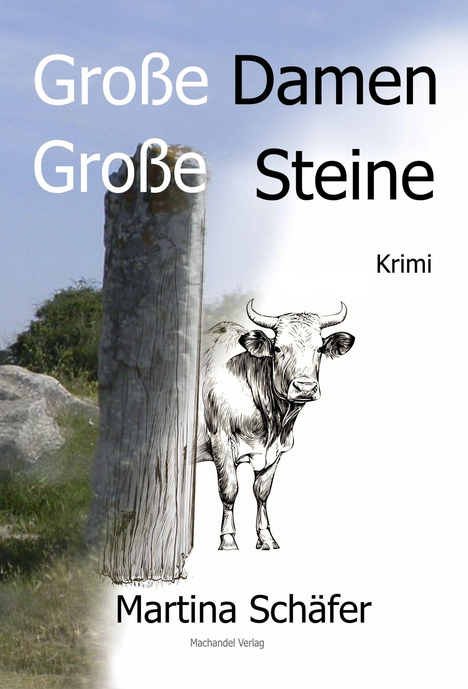 Grosse Damen, grosse Steine - Buchcover